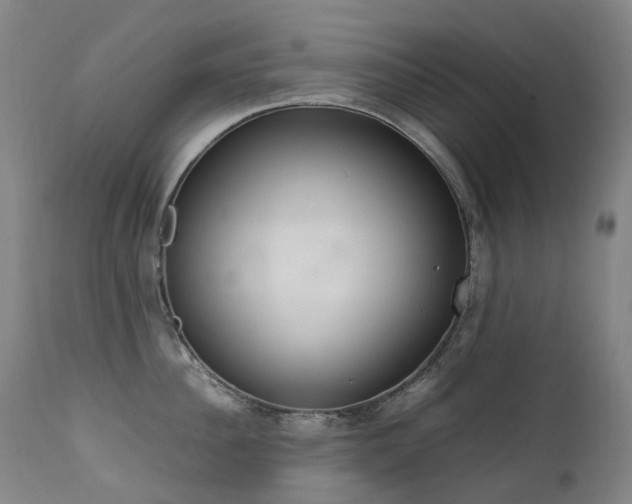 X0000111660956200907171606