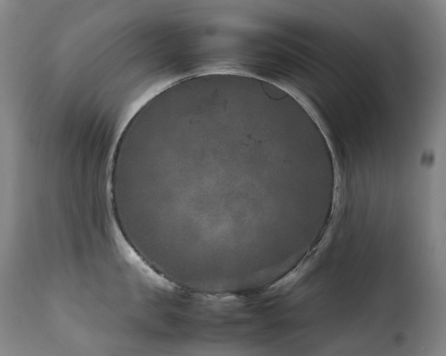 X0000111660957200907171606