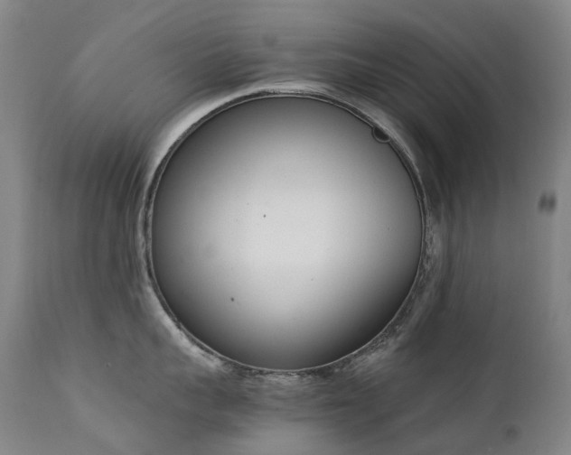 X0000111660959200907171606