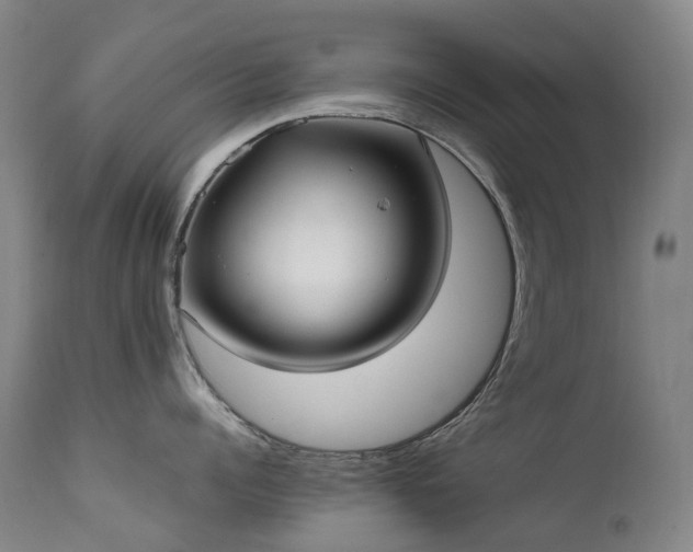 X0000111660960200907171606
