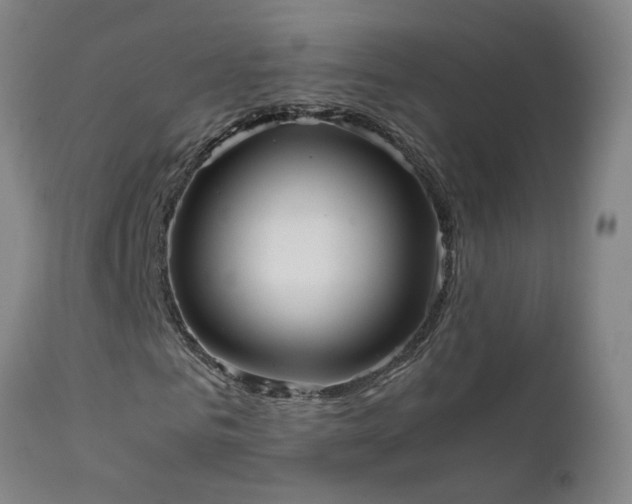 X0000111660961200907171606