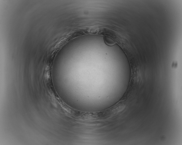 X0000111660962200907171606