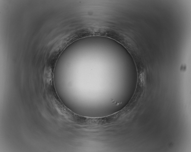 X0000111660963200907171606