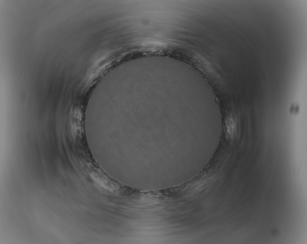 X0000111660964200907171606