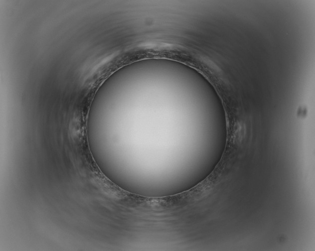 X0000111660966200907171606