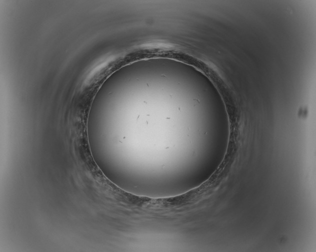 X0000111660967200907171606
