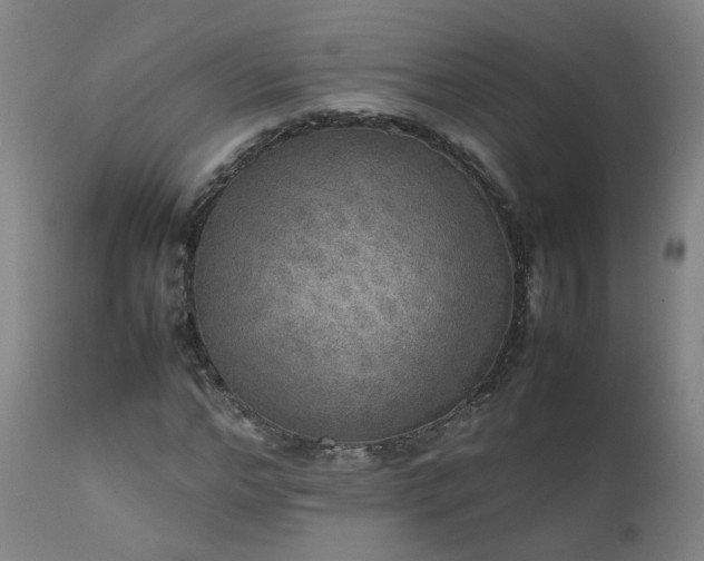 X0000111660968200907171606
