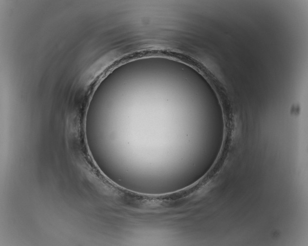 X0000111660969200907171606