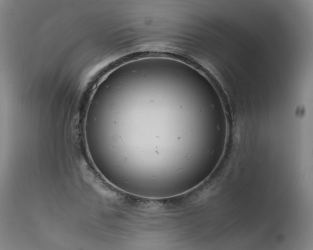 X0000111660971200907171606