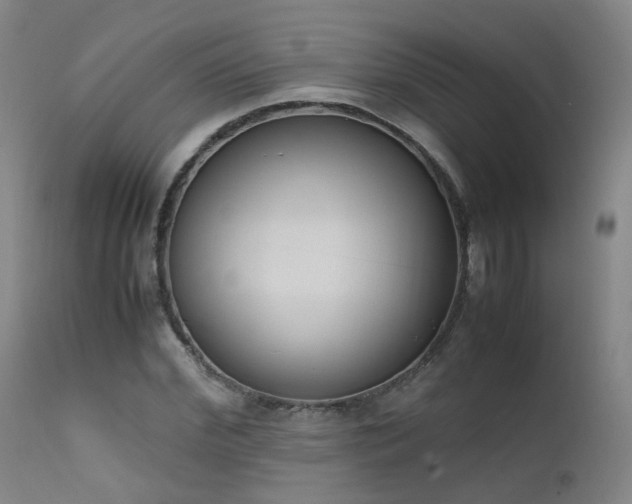 X0000111660972200907171606