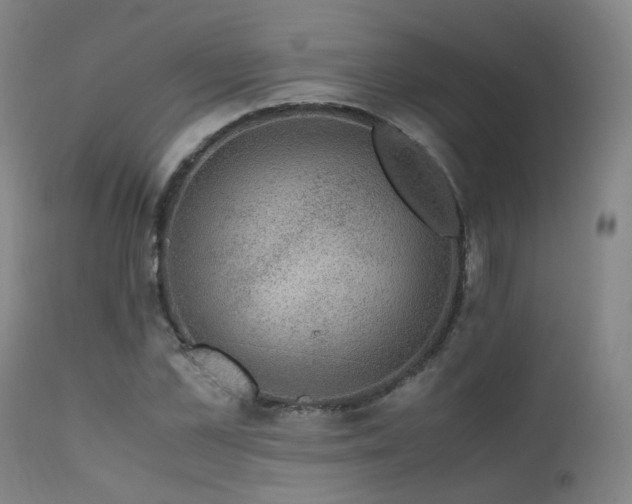 X0000111660973200907171606