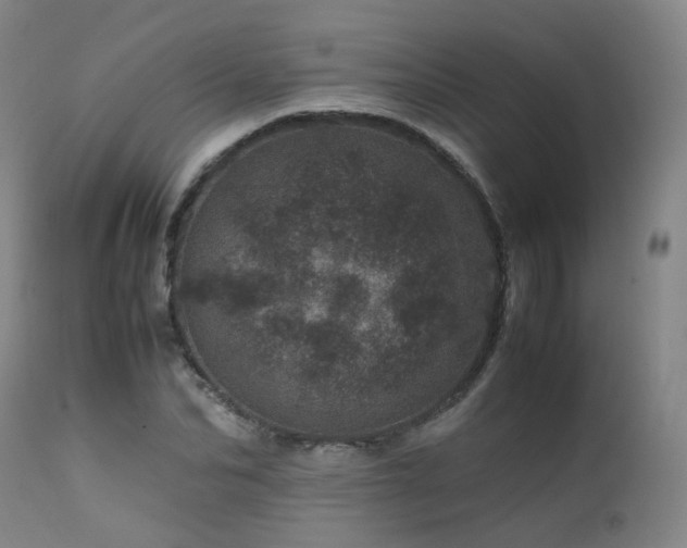 X0000111660974200907171606