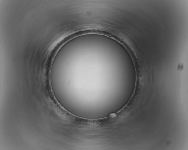 X0000111660975200907171606