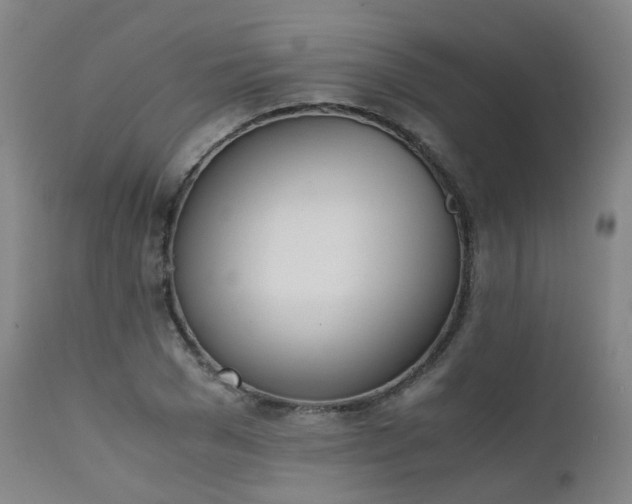 X0000111660977200907171606