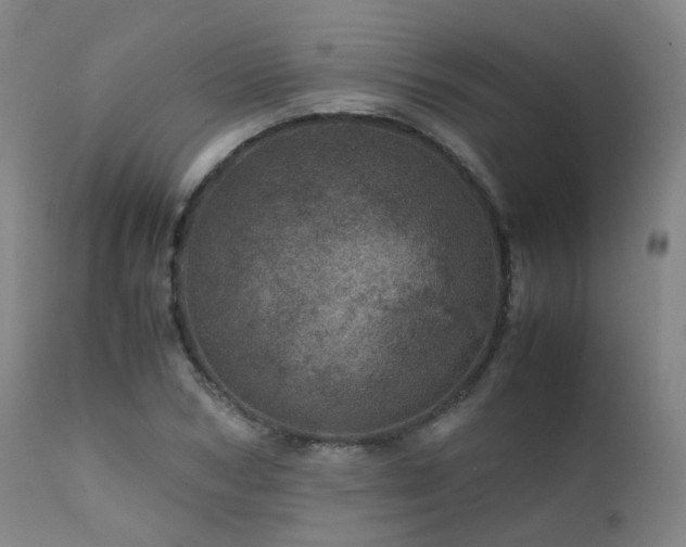 X0000111660978200907171606
