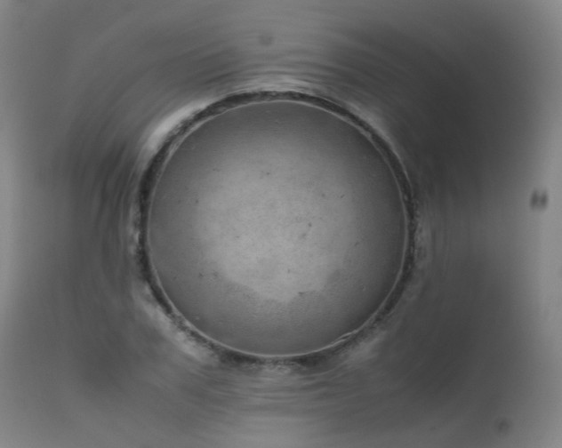 X0000111660979200907171606