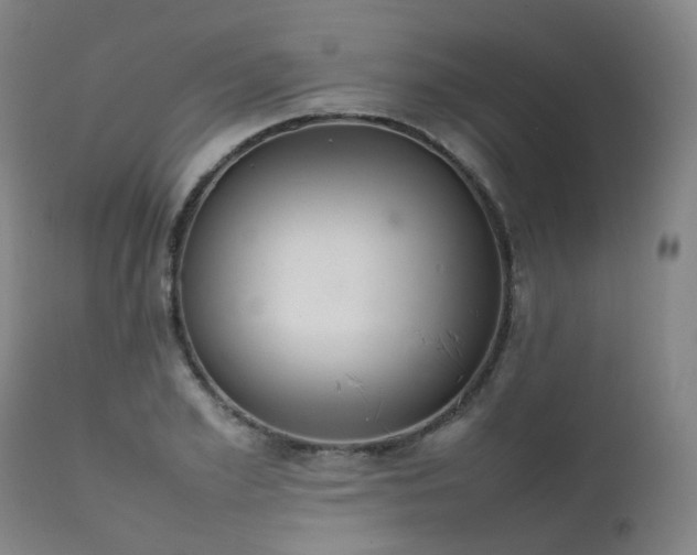 X0000111660981200907171606