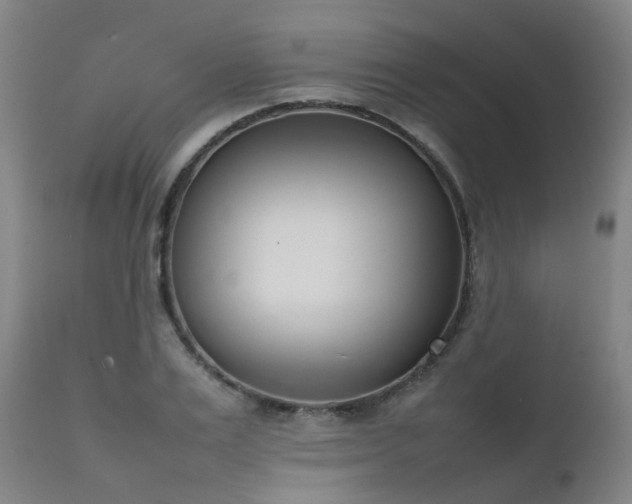 X0000111660983200907171605