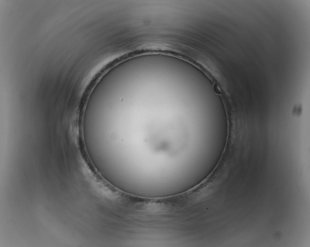 X0000111660984200907171605