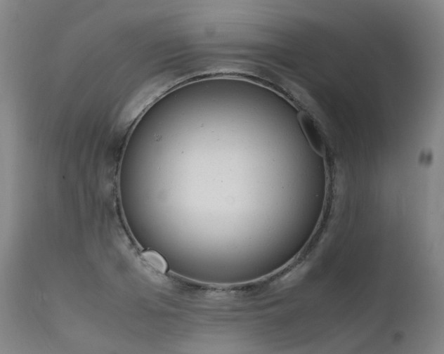 X0000111660985200907171605