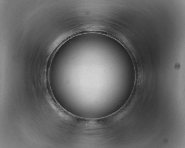 X0000111660986200907171605