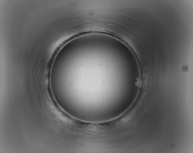 X0000111660987200907171605