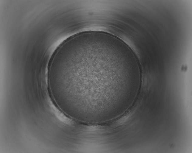 X0000111660988200907171605