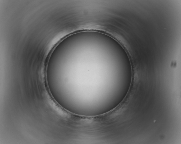 X0000111660990200907171605