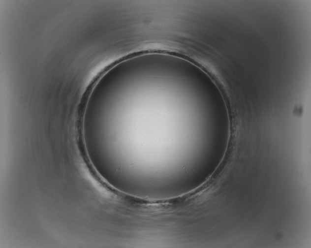 X0000111660991200907171605