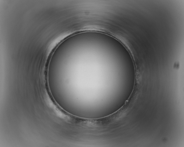 X0000111660995200907171605