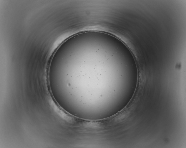 X0000111660998200907171605
