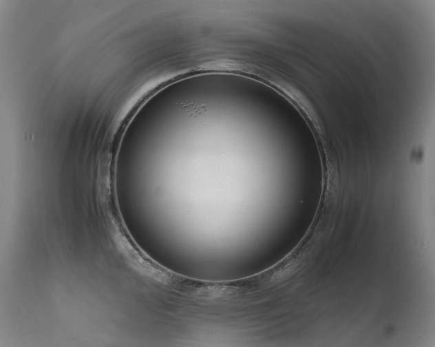 X0000111661000200907171605