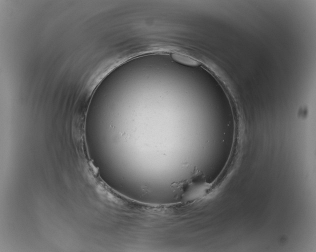 X0000111661001200907171605