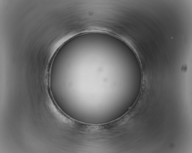 X0000111661003200907171605