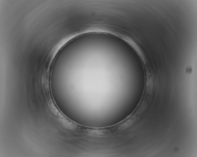 X0000111661004200907171605