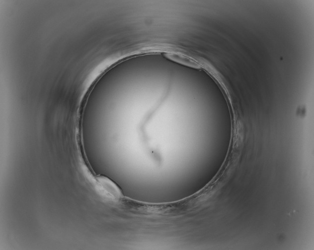X0000111661005200907171605