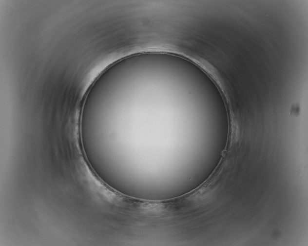 X0000111661006200907171605