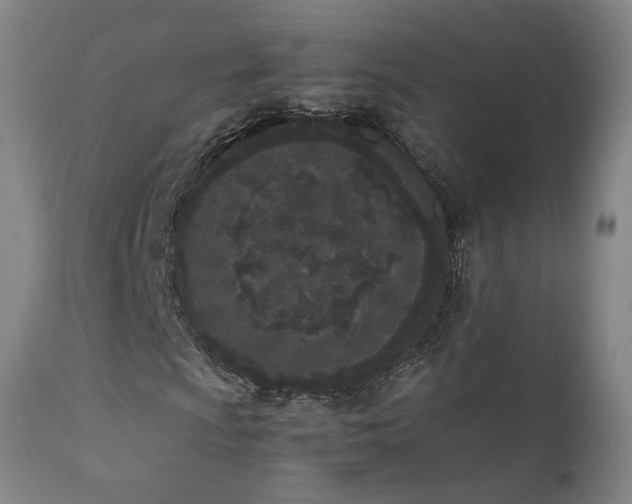 X0000111661009200907171604