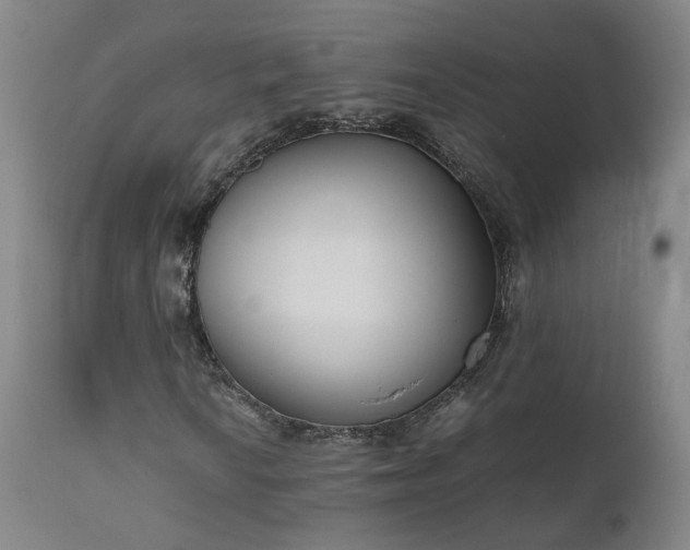 X0000111661010200907171604