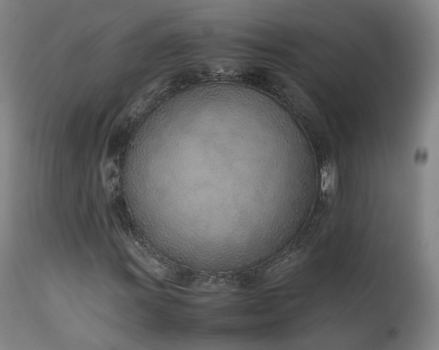 X0000111661011200907171604