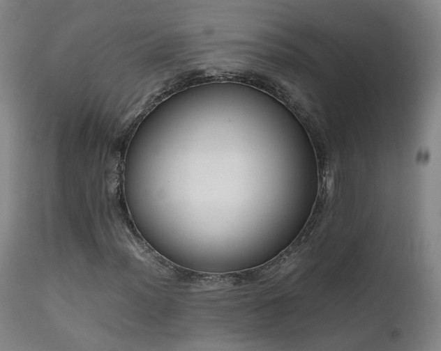 X0000111661012200907171604