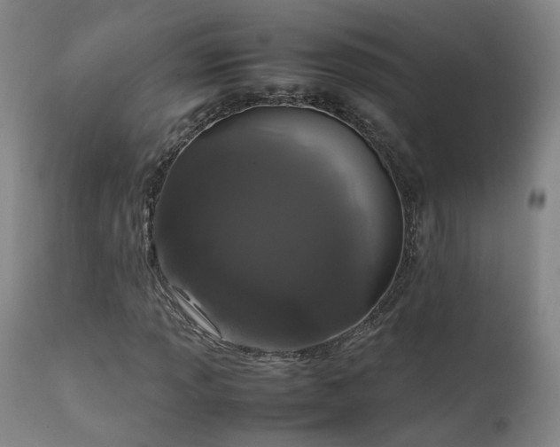 X0000111661013200907171604