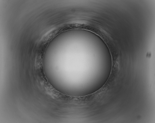 X0000111661014200907171604