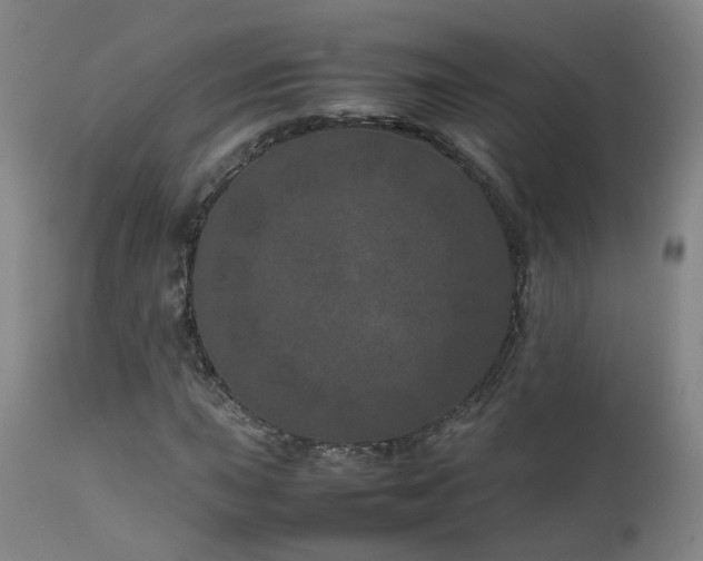 X0000111661015200907171604