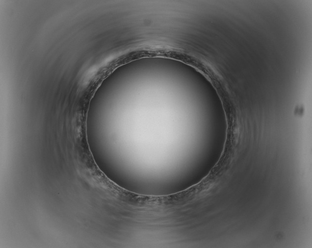 X0000111661016200907171604