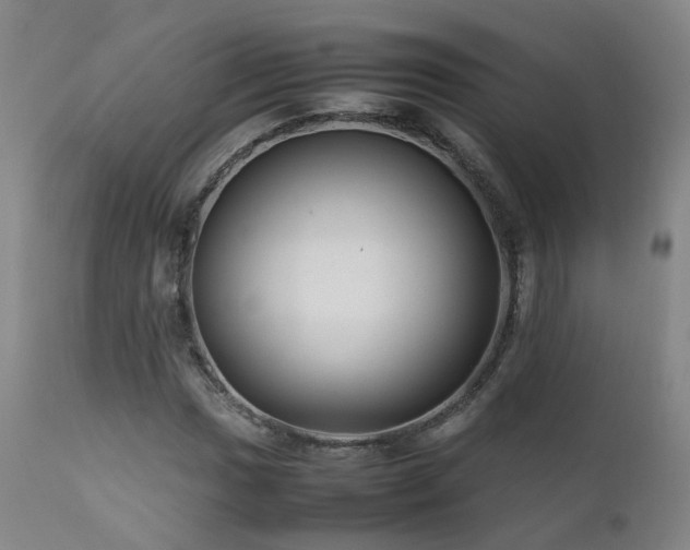 X0000111661017200907171604