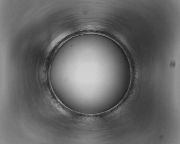 X0000111661018200907171604