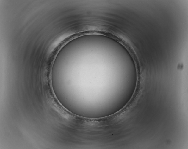 X0000111661019200907171604