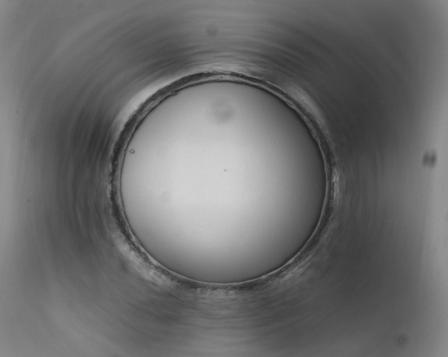 X0000111661020200907171604