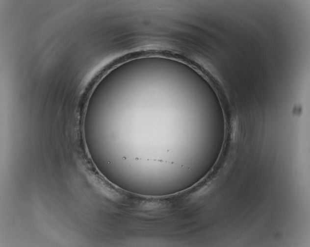 X0000111661021200907171604